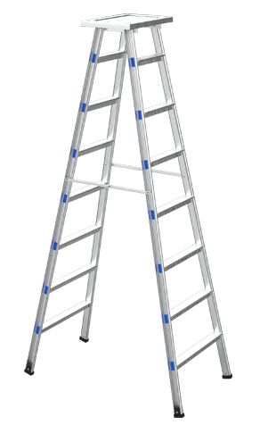 LADDERS